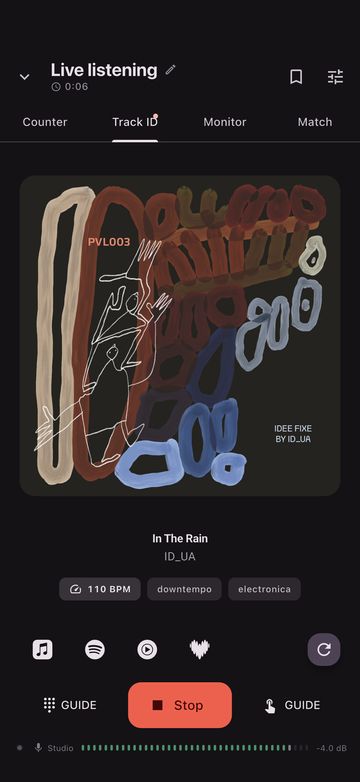 Track ID showing a finished result: artwork, title, artist, a 110 BPM chip and a row of streaming links.